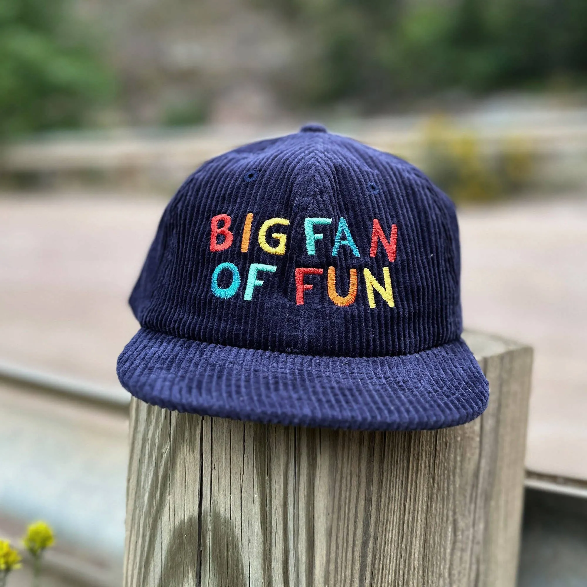 Baby & Kids Hat | Big Fan Of Fun: Youth