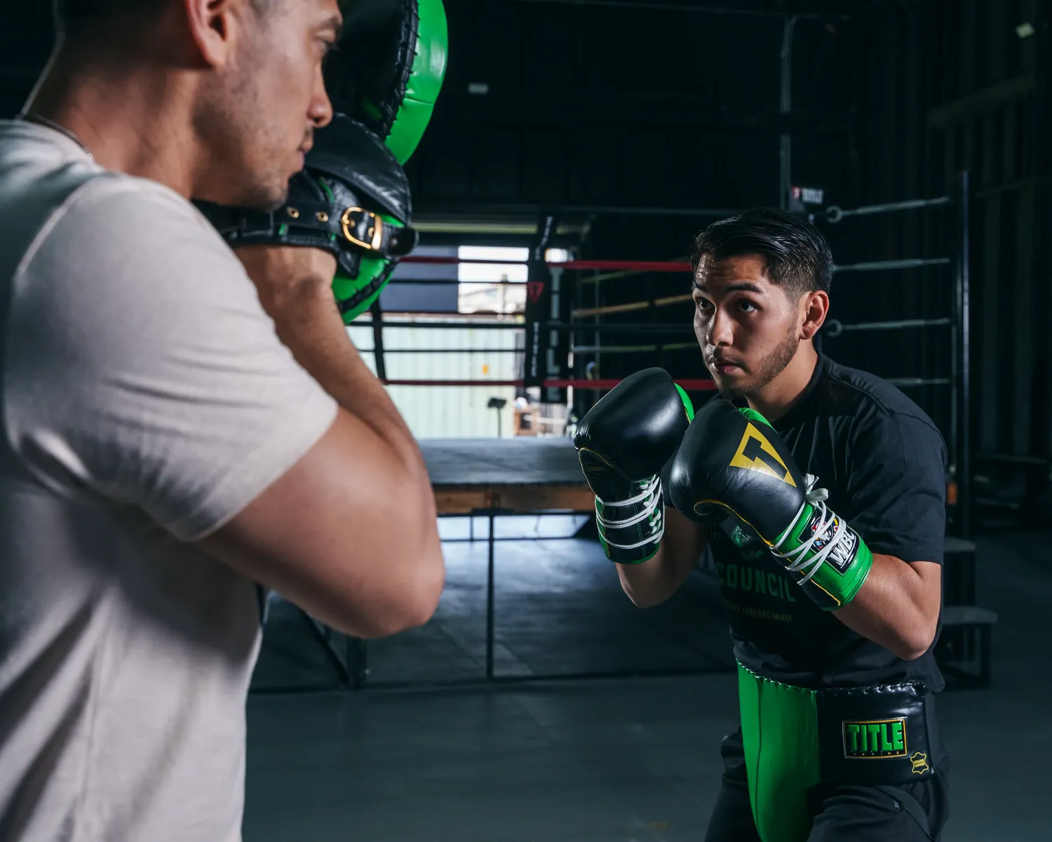 WBC by TITLE Boxing Sparring Gloves