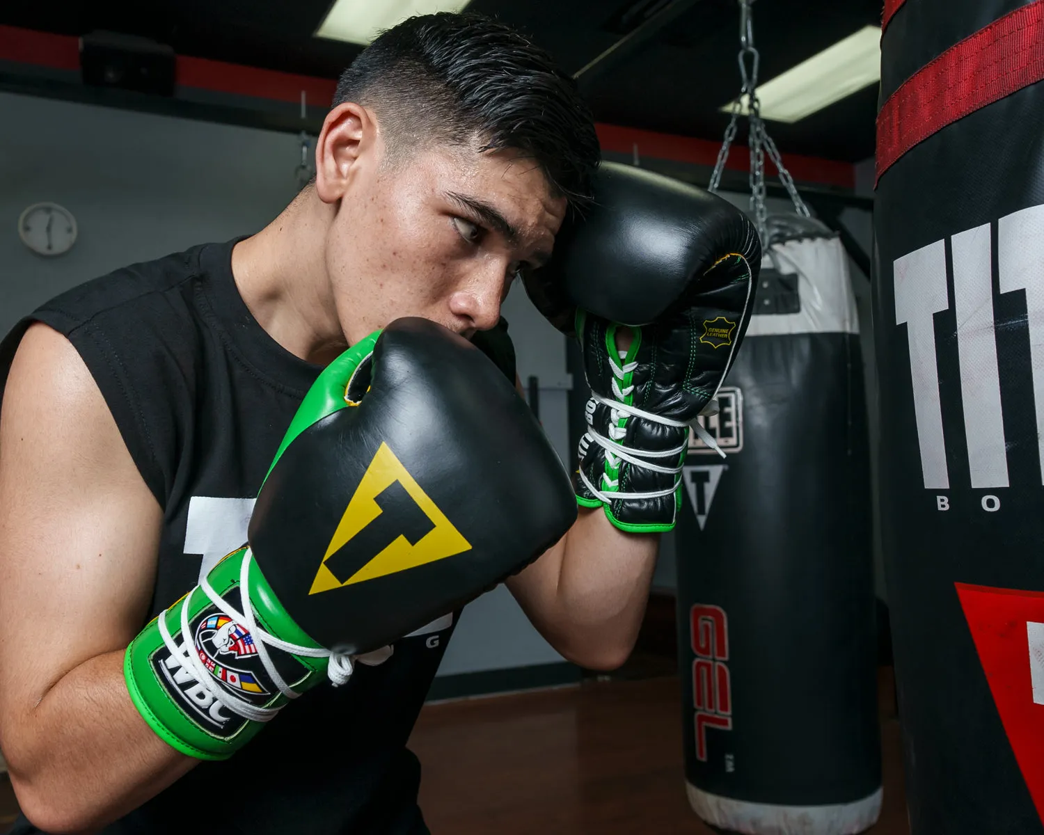 WBC by TITLE Boxing Sparring Gloves