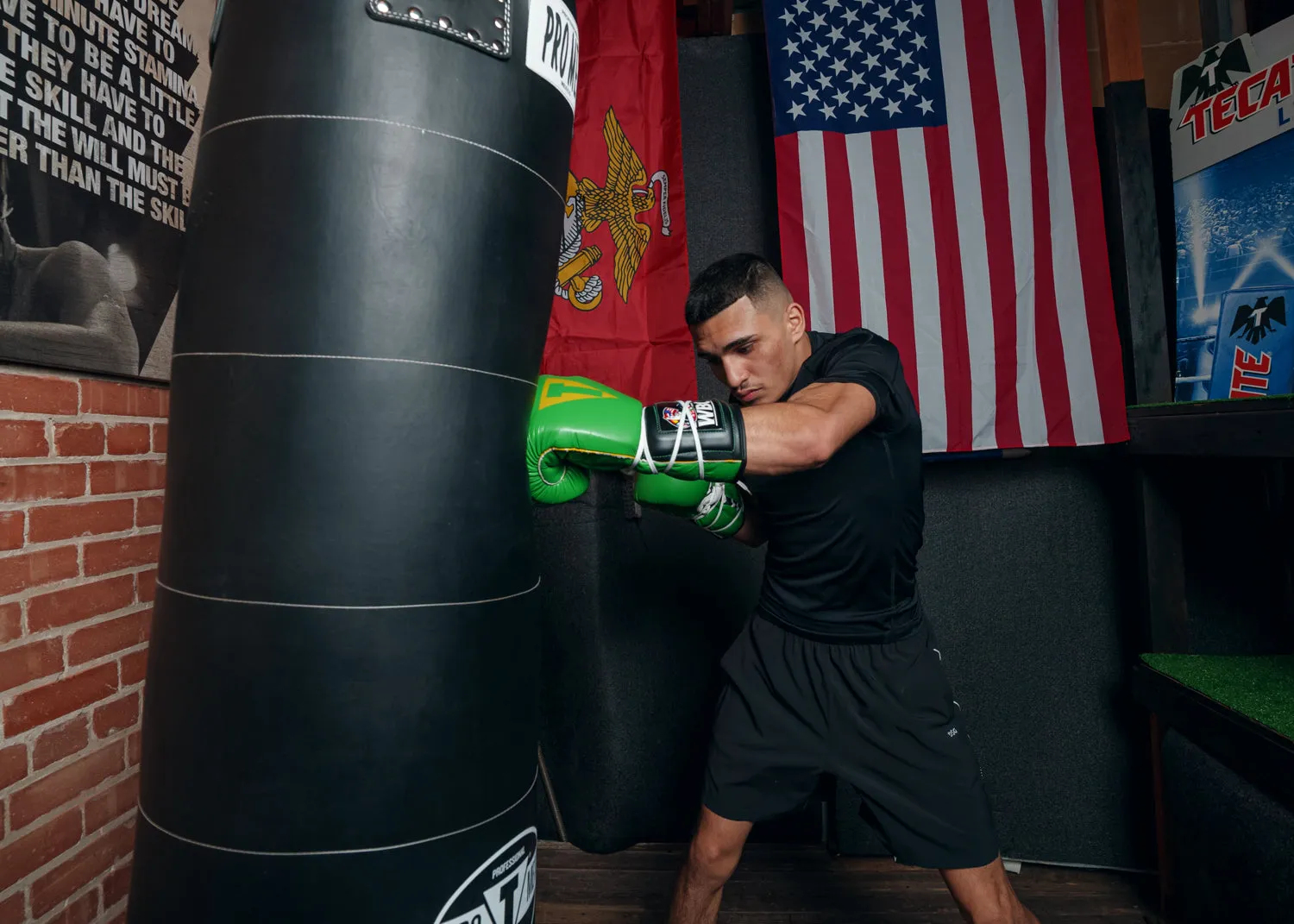 WBC by TITLE Boxing Sparring Gloves